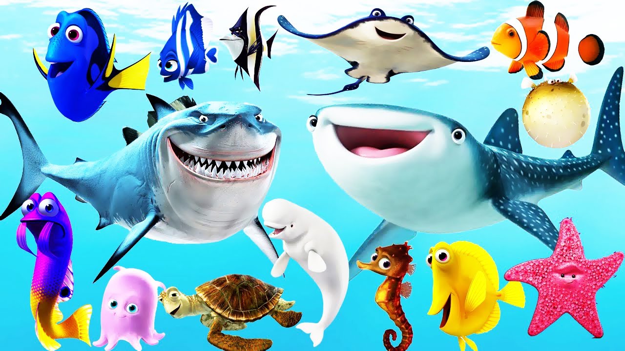 Chi tiết 60 về tô màu cá mập  Du học Akina