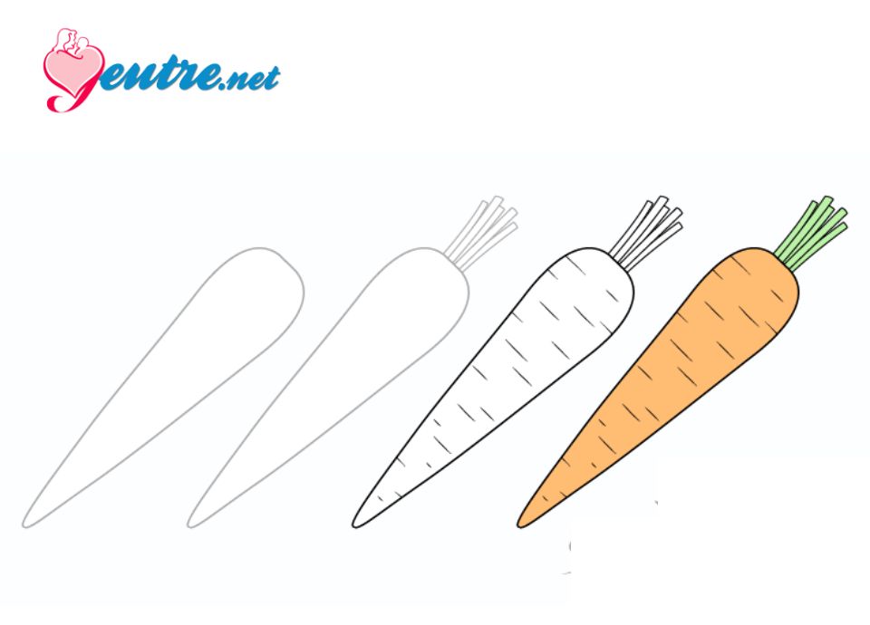 Hãy theo dõi hướng dẫn vẽ con cà rốt đáng yêu để tạo ra những tác phẩm độc đáo và quyến rũ. Bạn sẽ thấy vẽ củ cà rốt rất đơn giản, chỉ cần một chút kiên nhẫn và khéo tay. Ngoài ra, hình ảnh vẽ củ cà rốt còn giúp bạn học cách vẽ bóng và kỹ thuật tô màu.